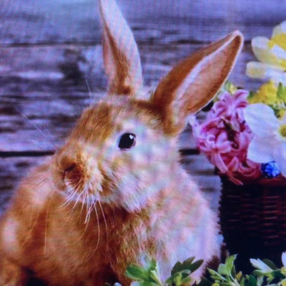 EASTER IS AROUND THE CORNER
